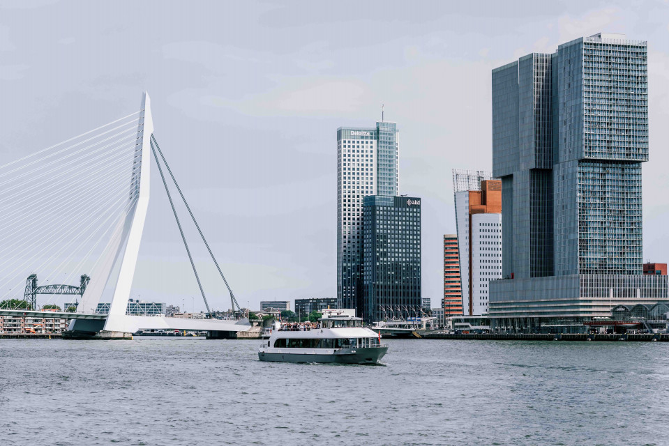 Zilvermeeuw Rotterdam