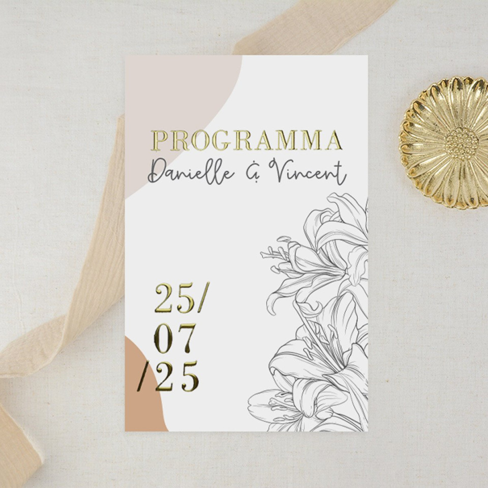 programma de wedding - programa de wedding
