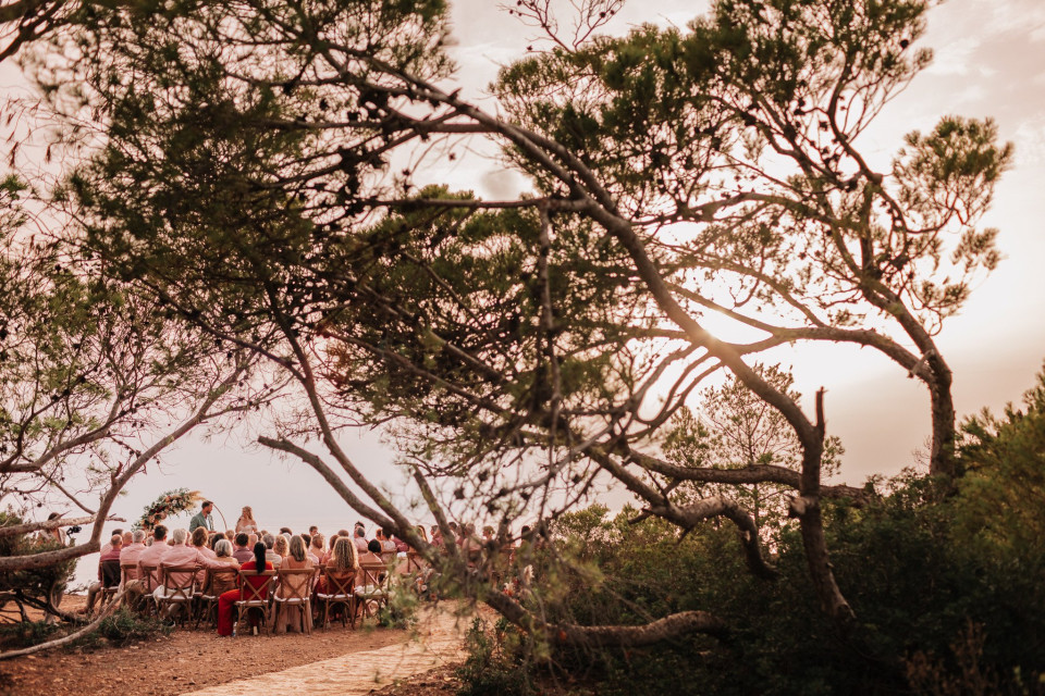 een trouwfeest staat voor bomen