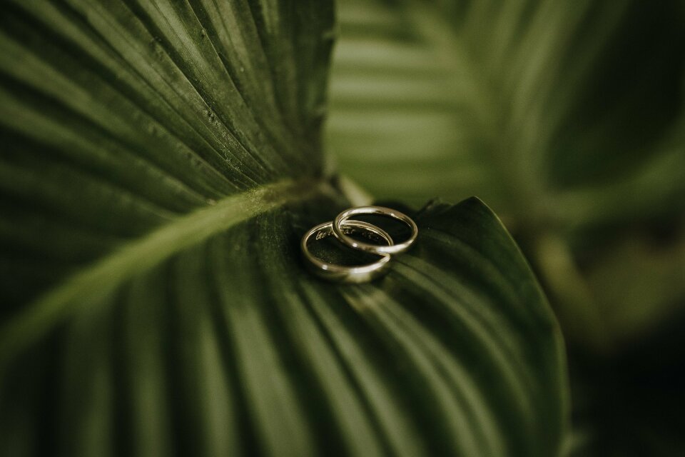 Trouwfotograaf Lieblingsformat Hochzeitsfotografie details