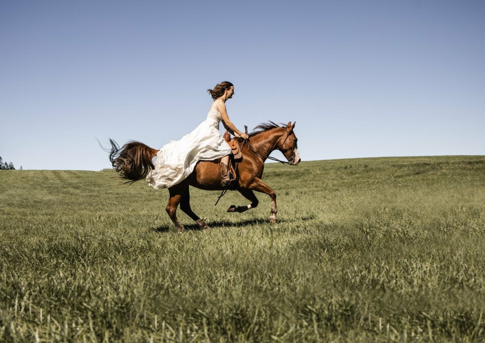 Trouwfotograaf Christina Falkenberg von Falkenberg Photography impressie 2