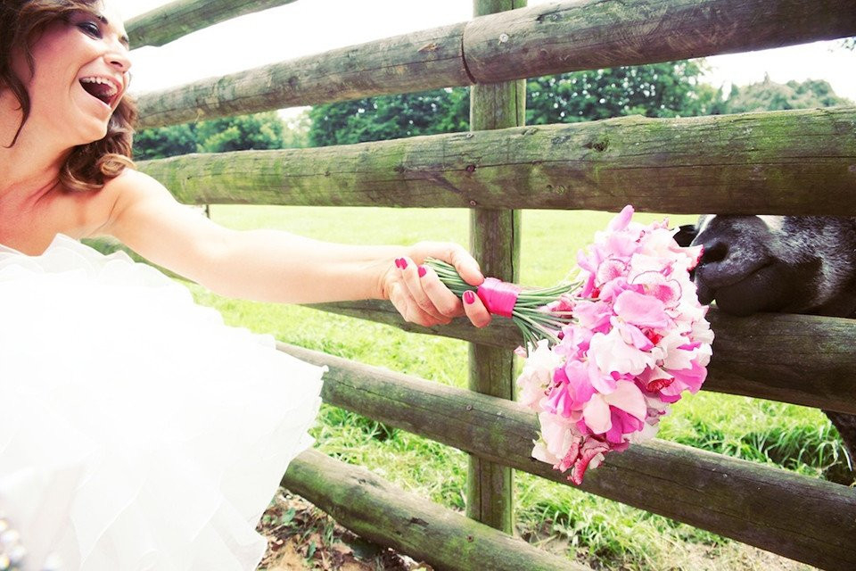 een bruid die een koe aait bij een hek