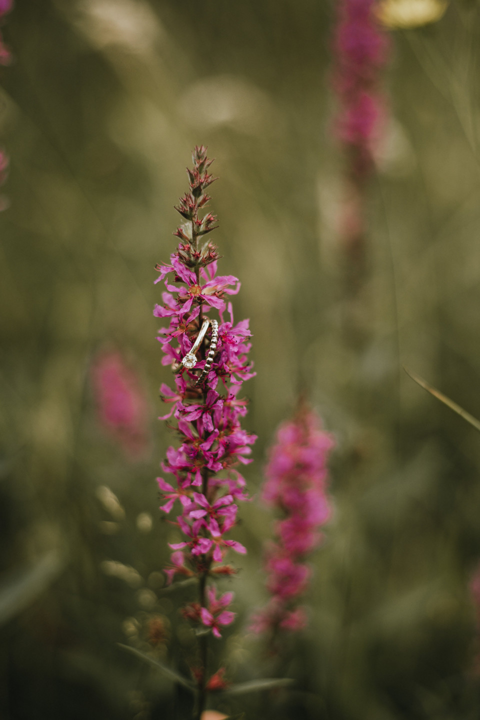 Trouwfotograaf Sina Spindler Photography impressie 4