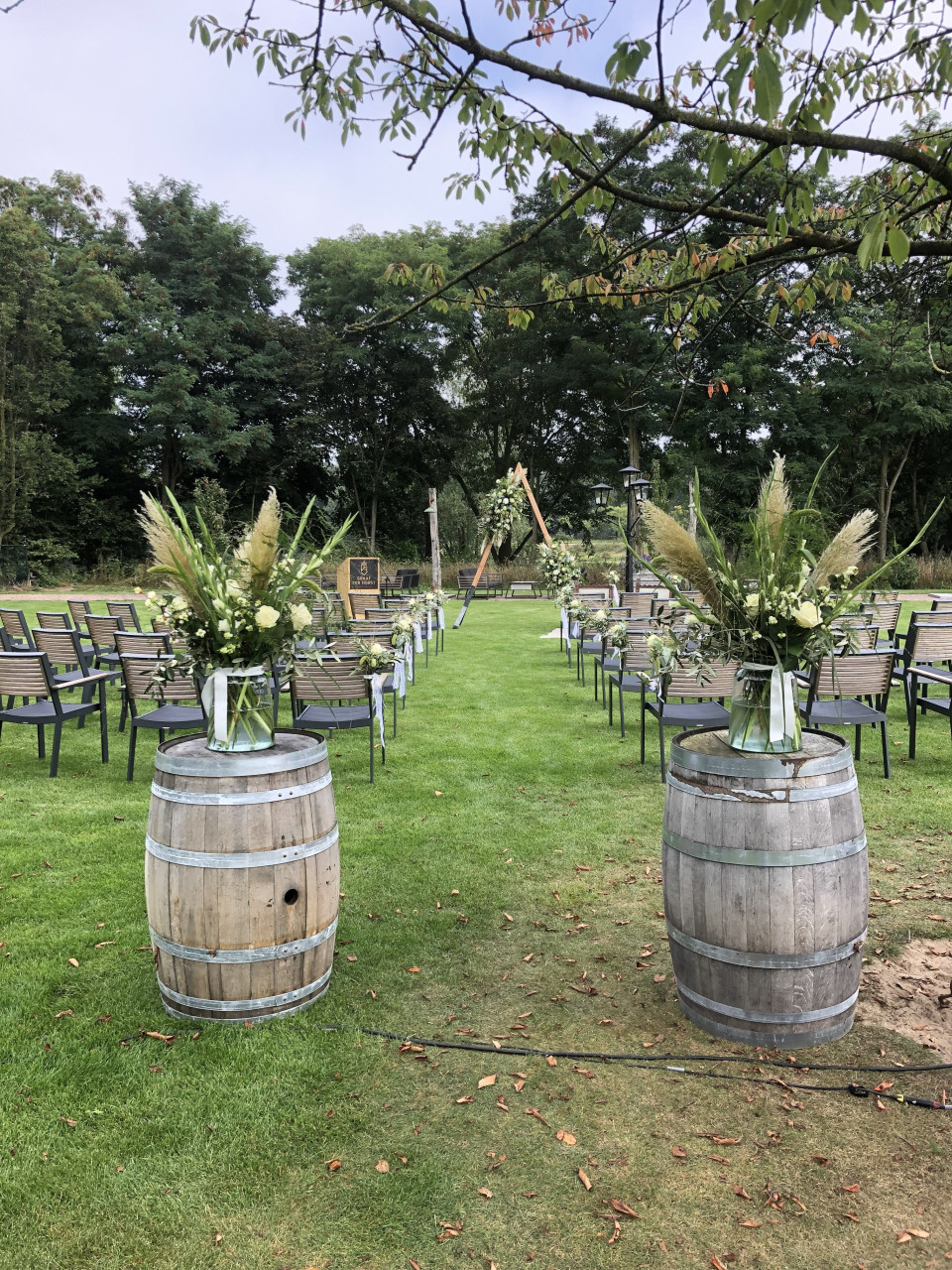 een paar stoelen die in het gras staan