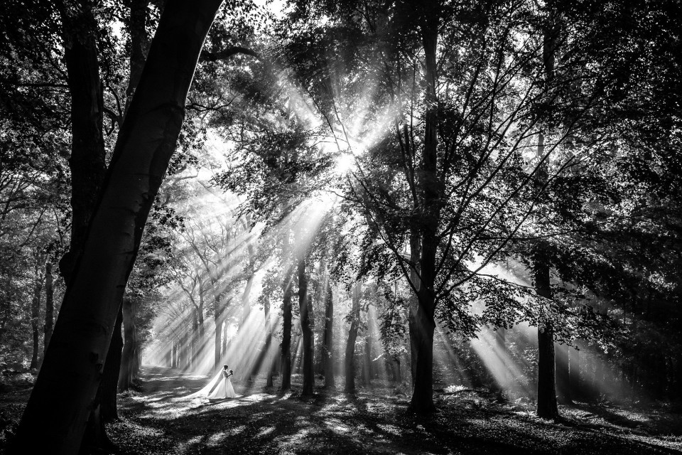 Trouwfoto&#039;s laten maken door Jan van de Maat Fotografie