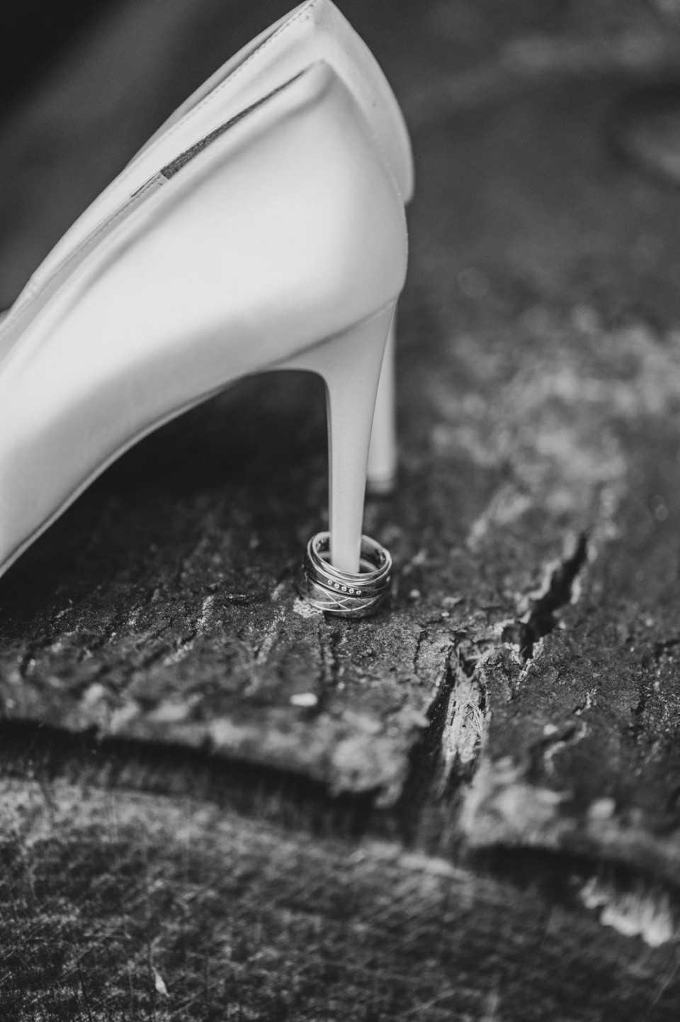 Trouwfotograaf Bij Li Fotografie overzicht