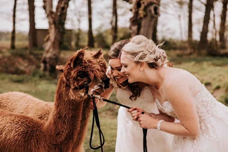Dieren op je bruiloft | Zo pak je het aan!