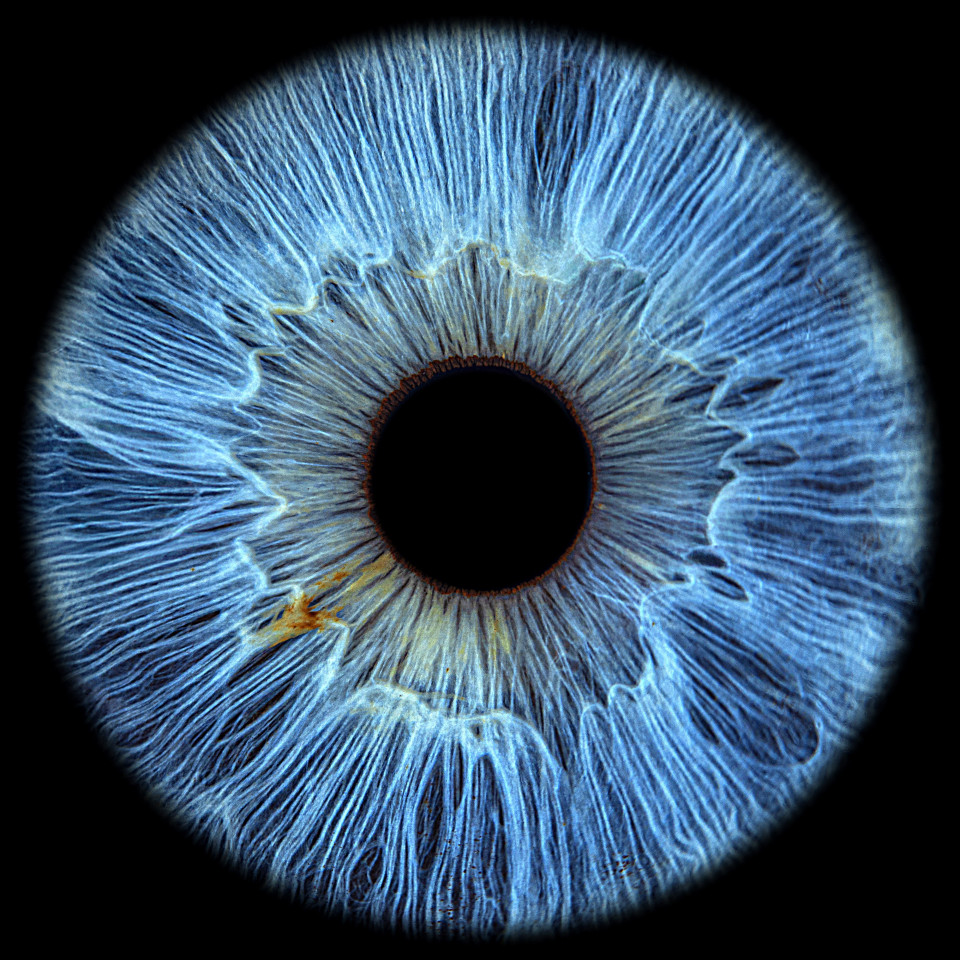 Entertainment van The Eye Catcher impressie 