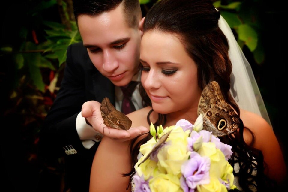 Weddingplanner Feestgeluk impressie