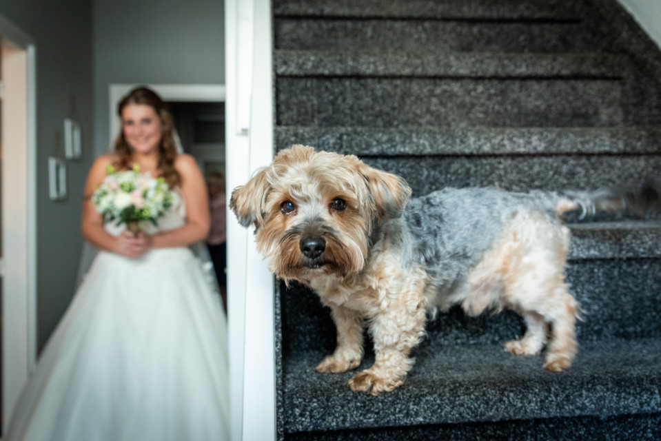 Videograaf KENO Weddings impressie 3