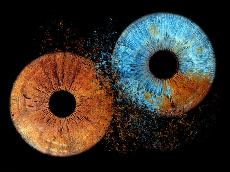 Entertainment van The Eye Catcher impressie 2