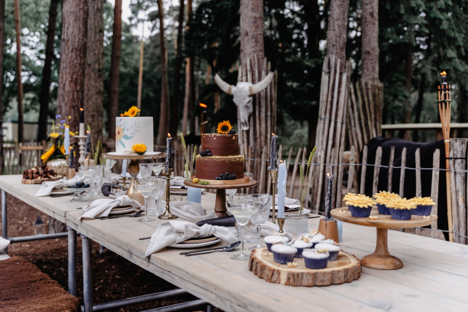een tafel opgesteld met een taart en cupcakes in het bos