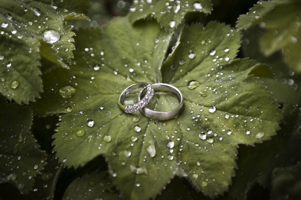 Trouwfotograaf Rebecca Dykema Photographie details