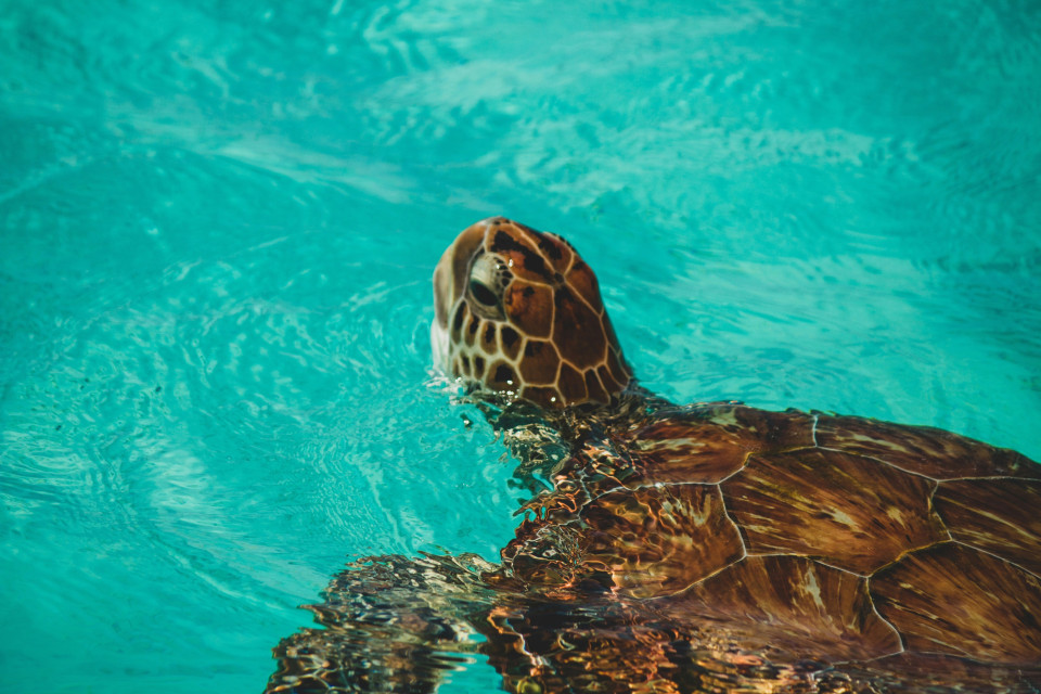 Jorgen Hendriksen via Unsplash