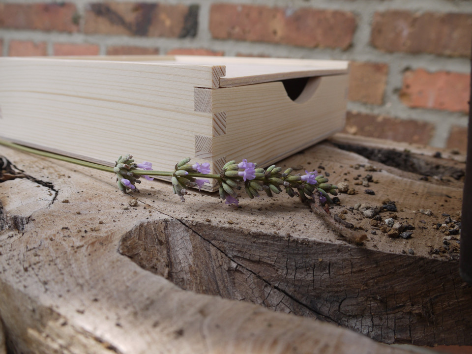 Decoratie van It Wood Be Nice impressie 
