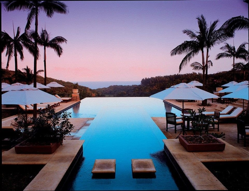 een lang zwembad omgeven door palmbomen en parasols