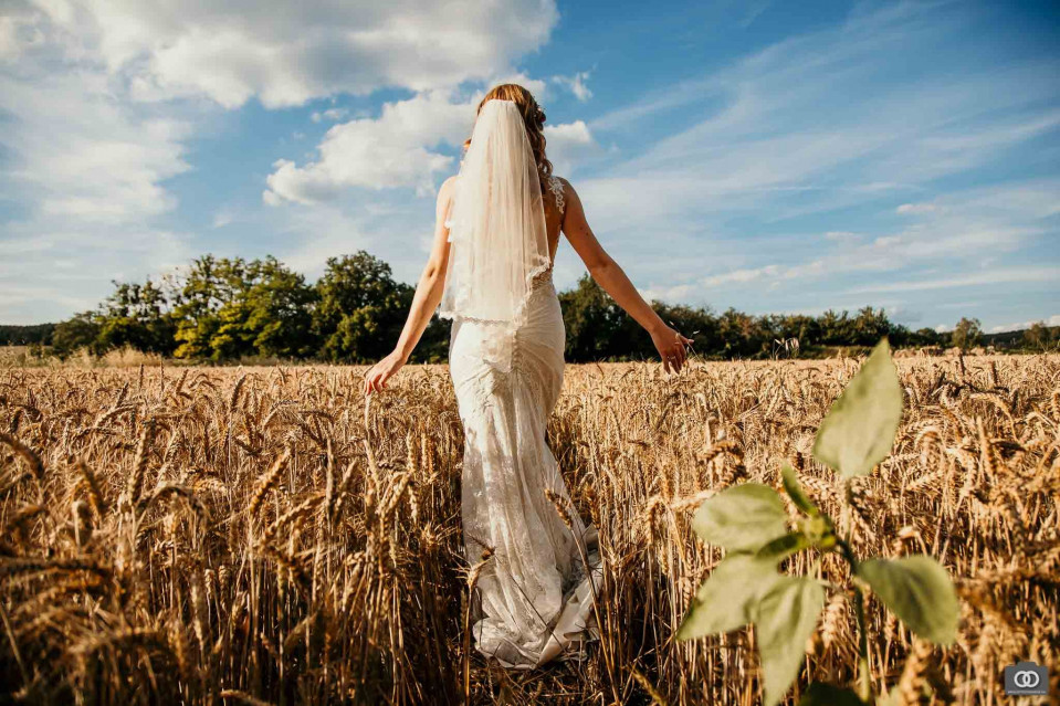 Trouwfotograaf Robin Looy Fotografie overzicht