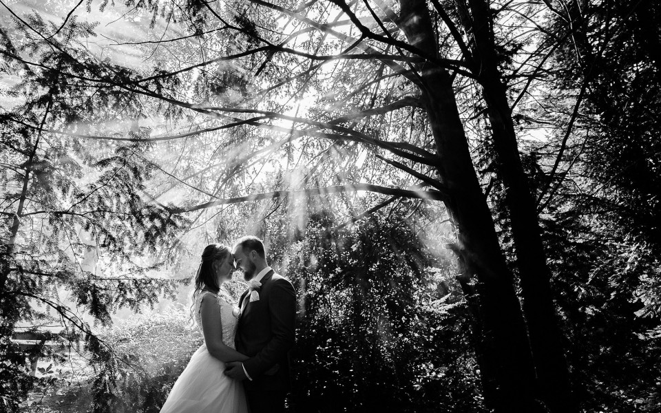 Trouwfotograaf Pictures &amp; Plans overzicht