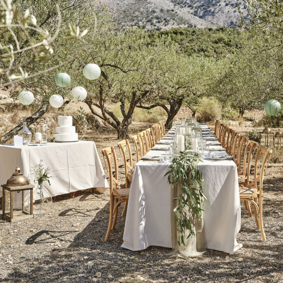 een lange tafel opgesteld in het midden van een olijfgaard