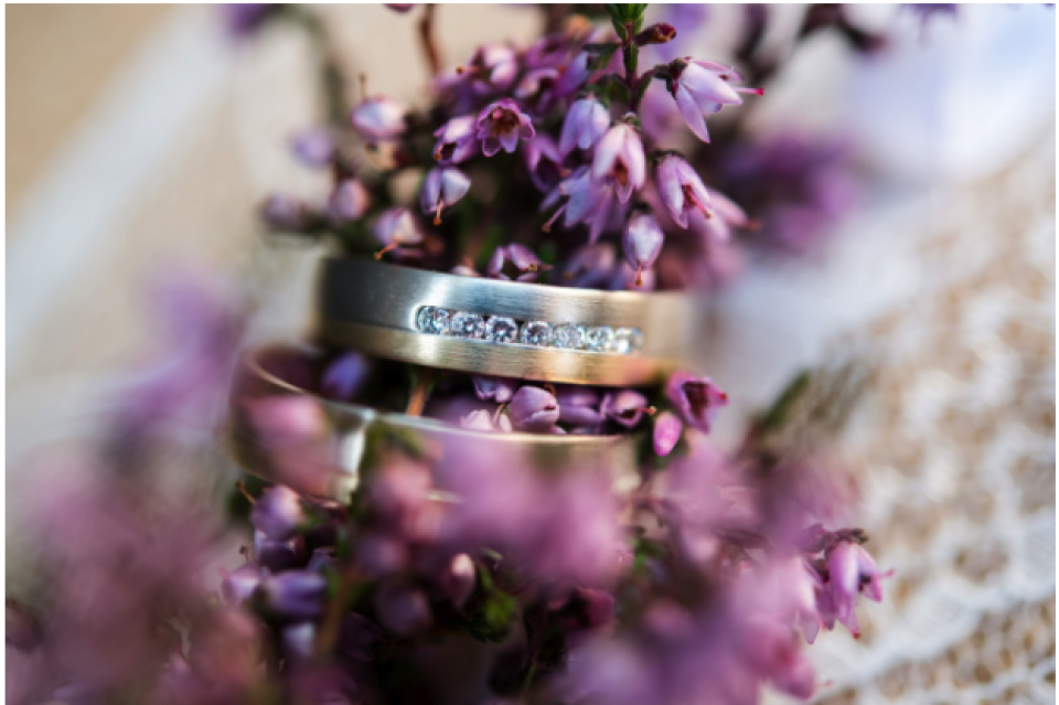 Trouwringen uitzoeken bij Juwelier Mieke’s Sieraderie