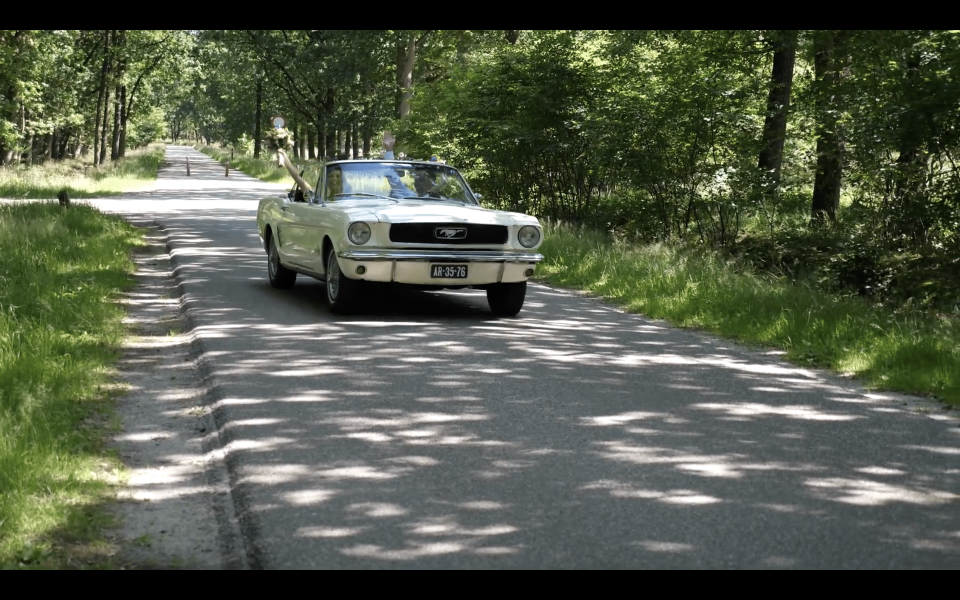 Videograaf TVMpromo impressie 3