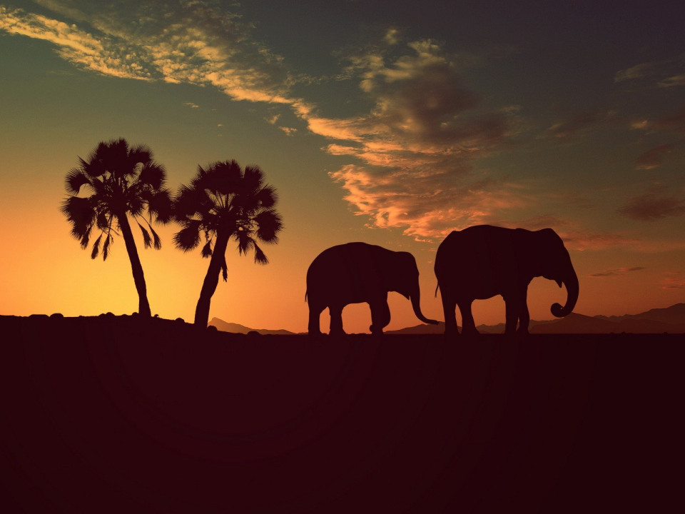 Huwelijksreis via atambo tours details