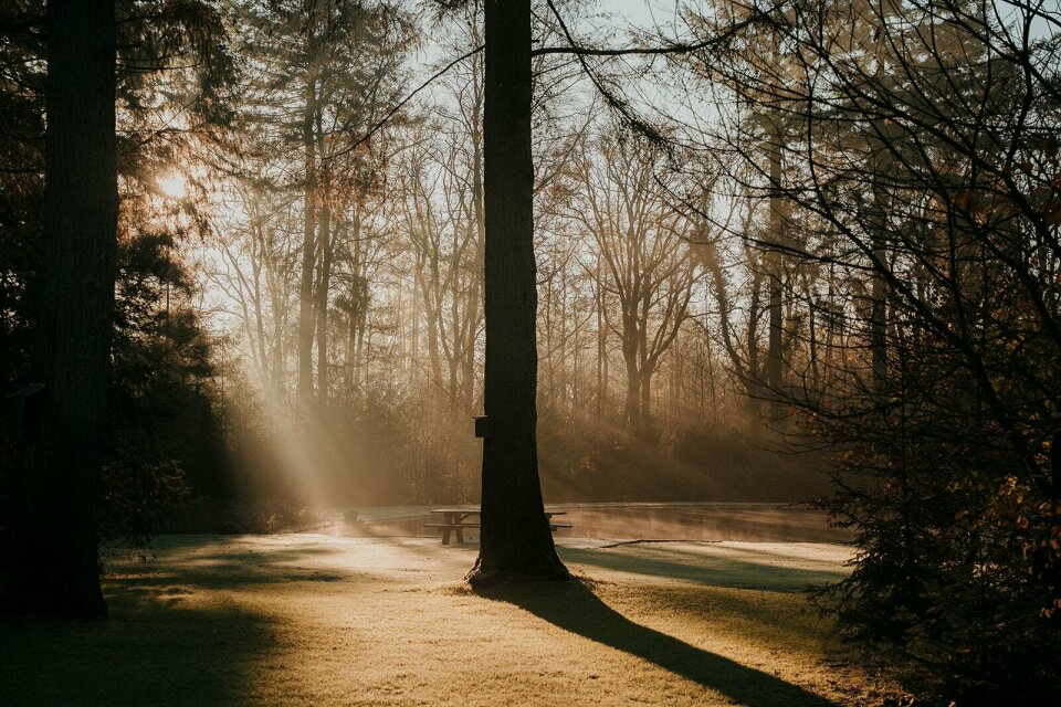 Trouwlocatie Het Nonnenbosch overzicht