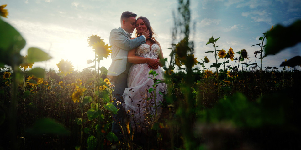 Videograaf 393productions overzicht