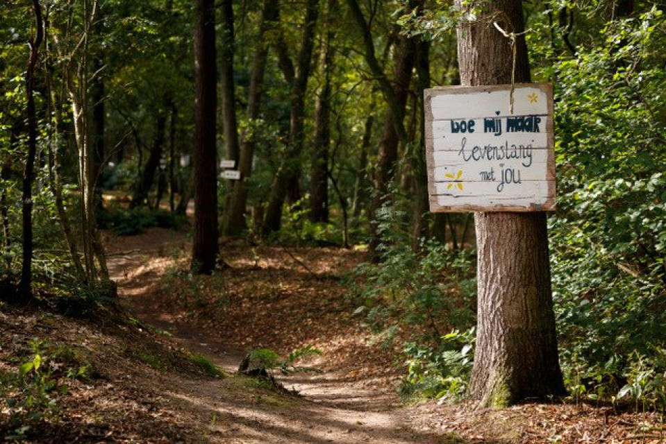 Trouwlocatie Landtgoed overzicht