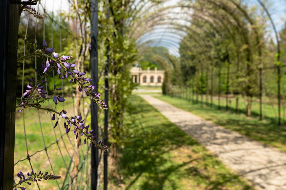 Trouwen bij Oranjerie Hydepark
