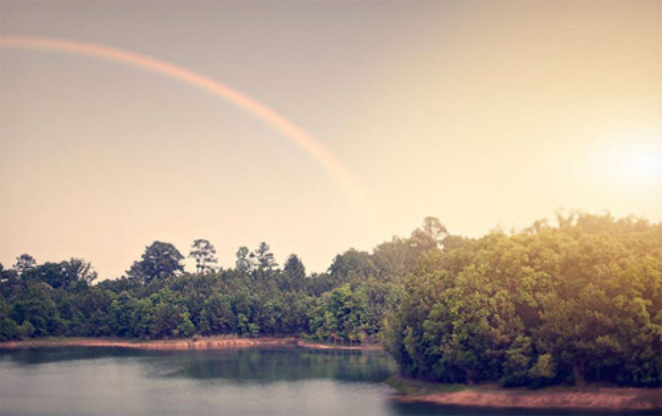 een regenboog is te zien boven een meer met bomen