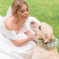 With Love, Angela Hochzeit Hundesitter International