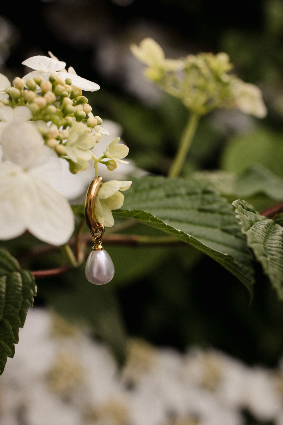 Trouwfotograaf Bas Verburg Photography impressie