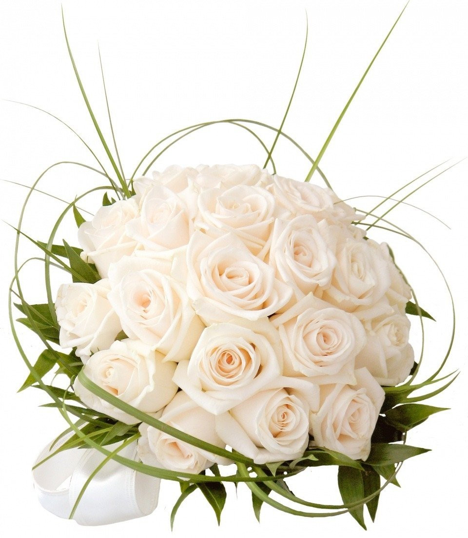 een boeket witte rozen wordt getoond op een witte achtergrond