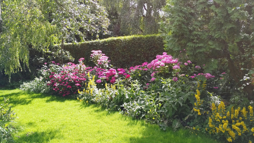 Trouwlocatie Groot Genoeg overzicht
