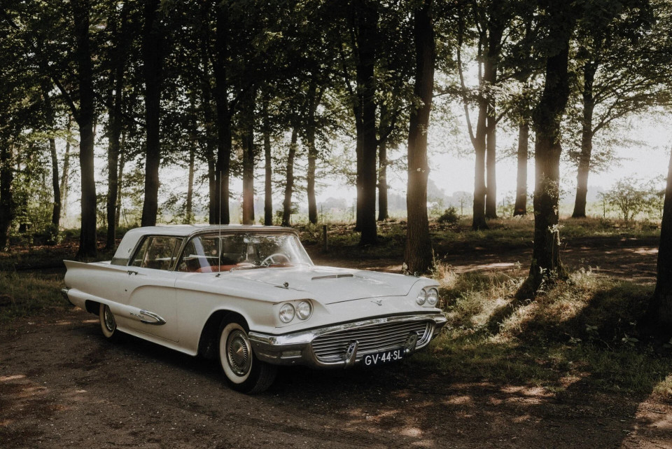Veluwse oldtimers