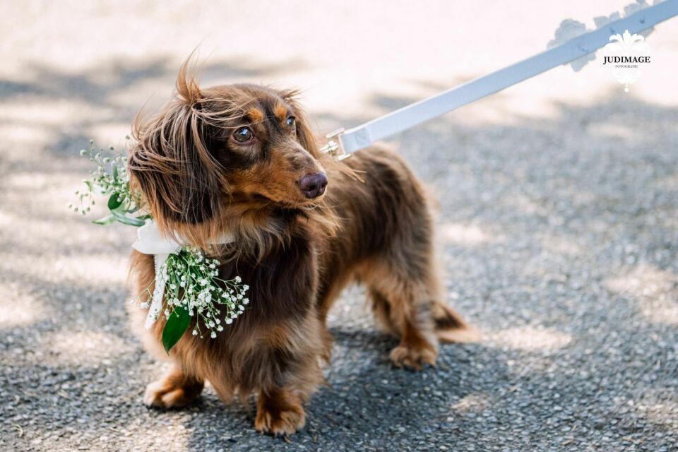 Weddingplanner Love&Berries impressie