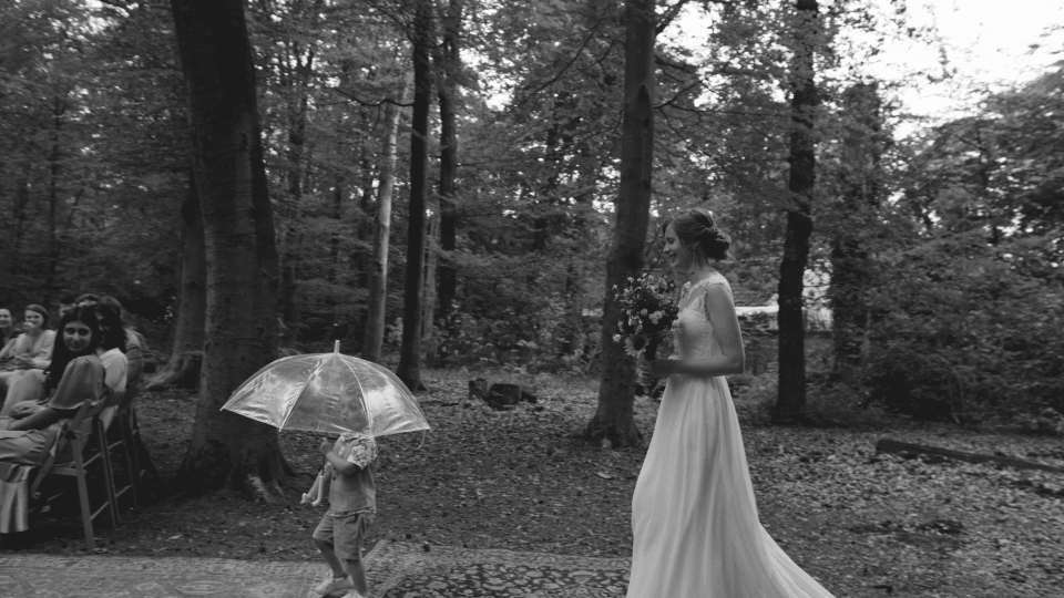 Videograaf Expolared overzicht