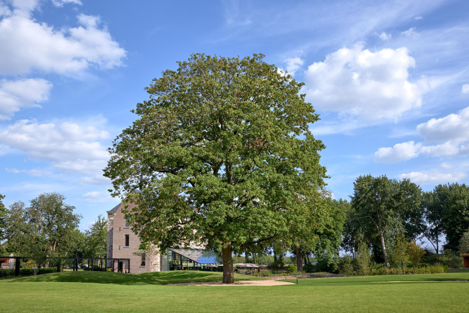 Trouwlocatie Van Oys Maastricht Retreat impressie 3