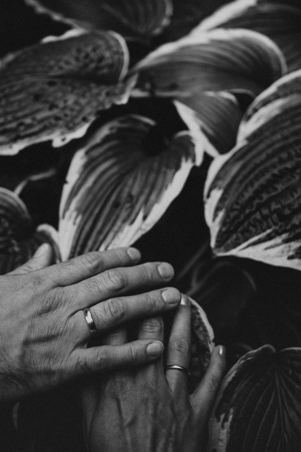 Trouwfotograaf Sarah Zahn overzicht