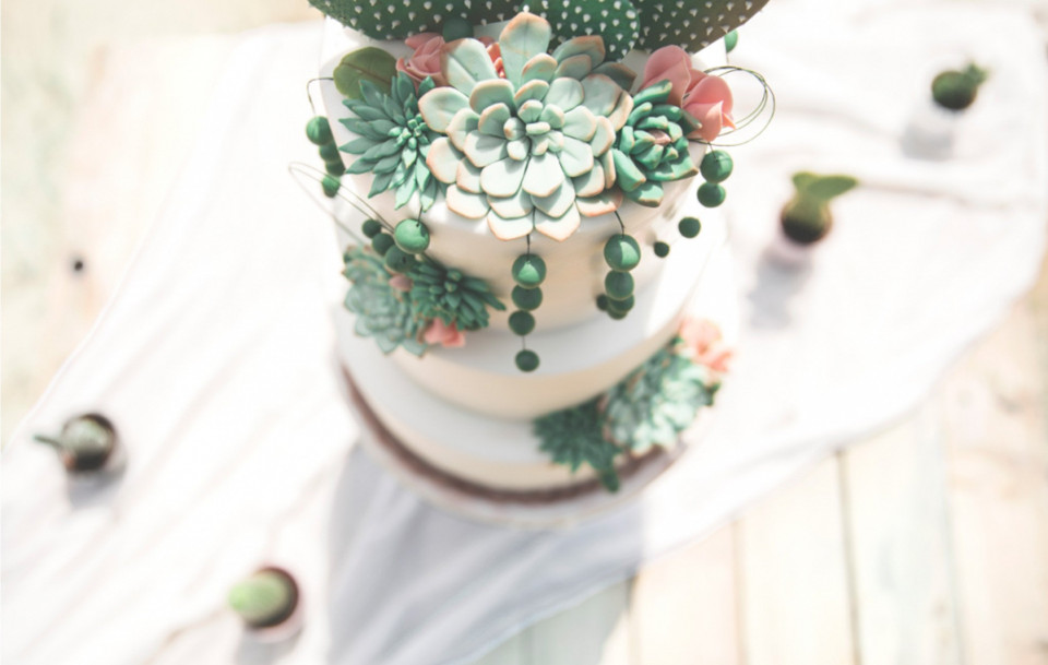 een bruidstaart met een cactus erop