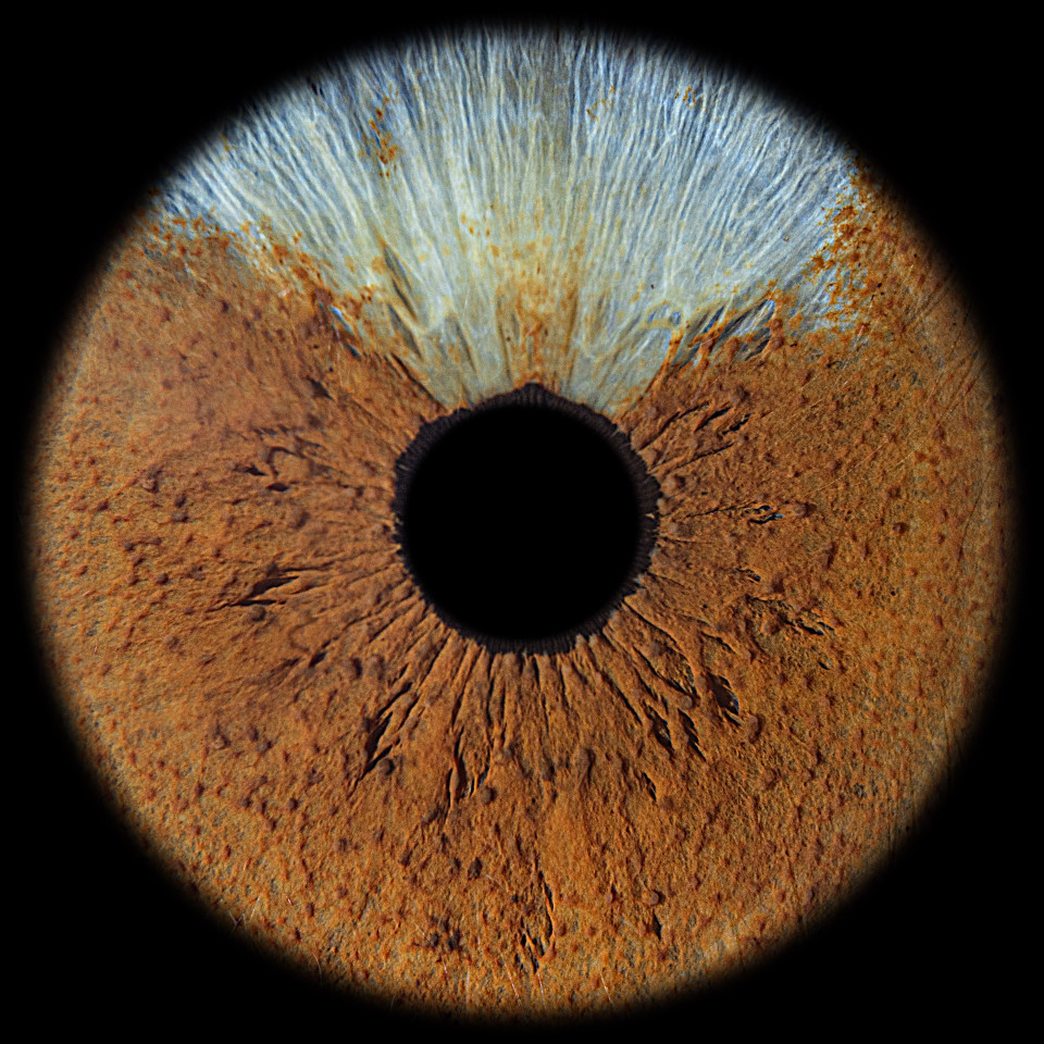 Entertainment van The Eye Catcher details