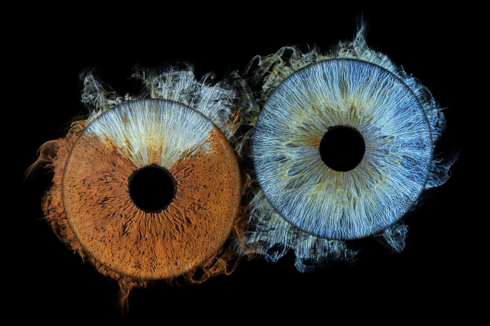 Entertainment van The Eye Catcher overzicht