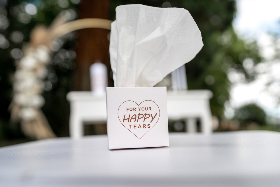 Weddingplanner Hochzeitsplanung perfekt - Hochzeitsplanung Zeremonienmeister im Rhein-Main-Gebiet overzicht