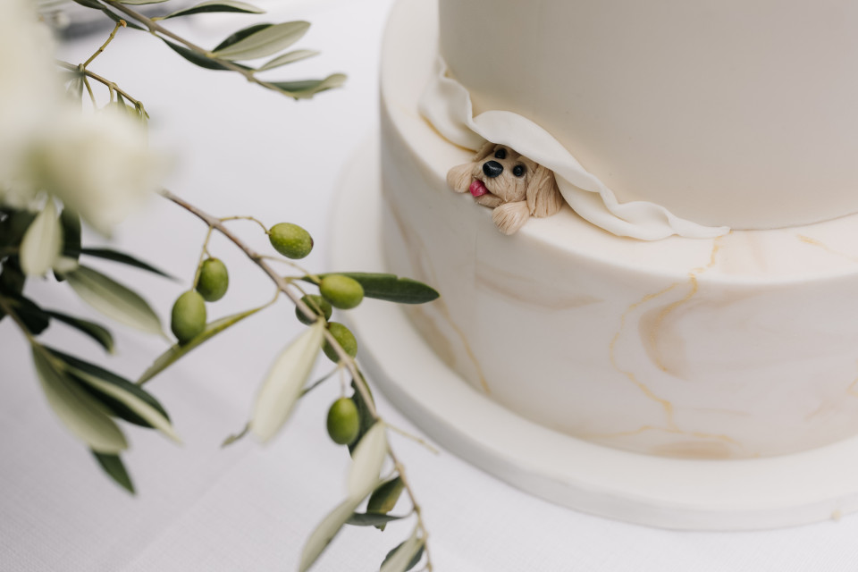 een witte taart met een hond er bovenop