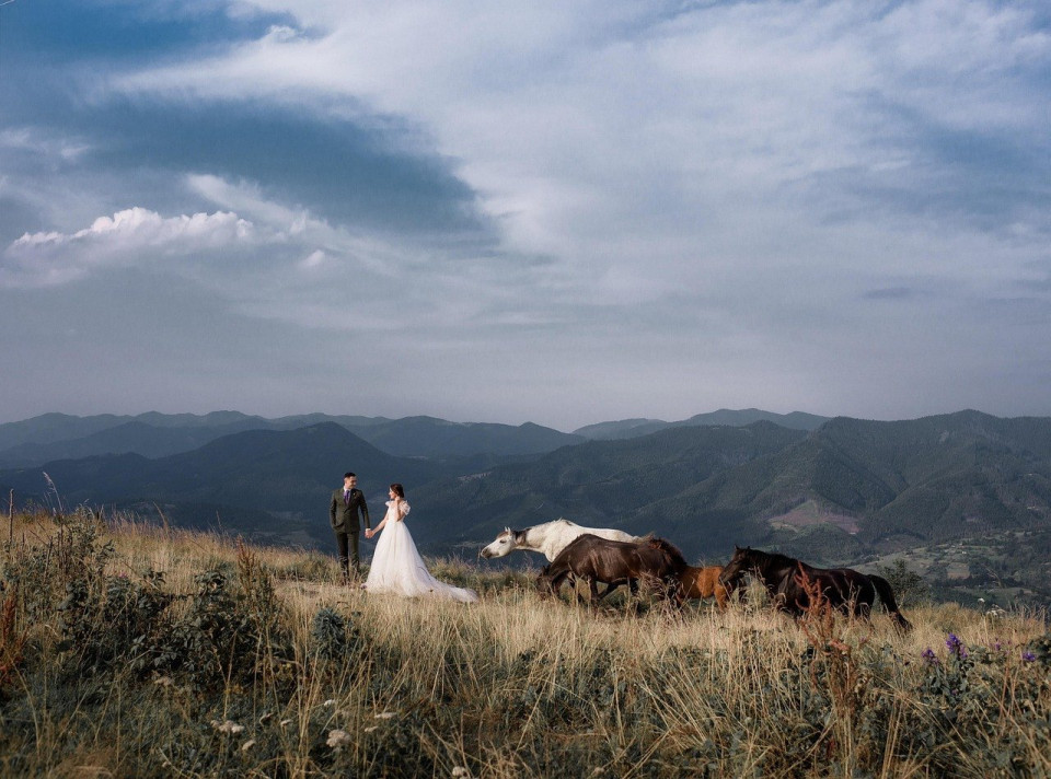 Weddingplanner With Love, Angela Hochzeit Hundesitterin impressie 3