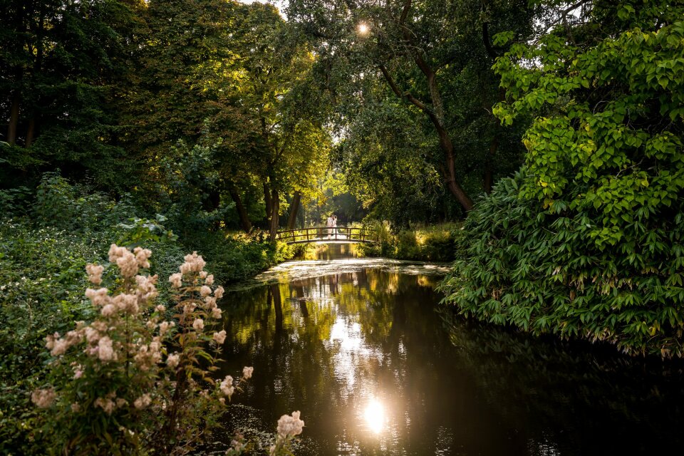 een brug in het midden van een rivier omringd door bomen