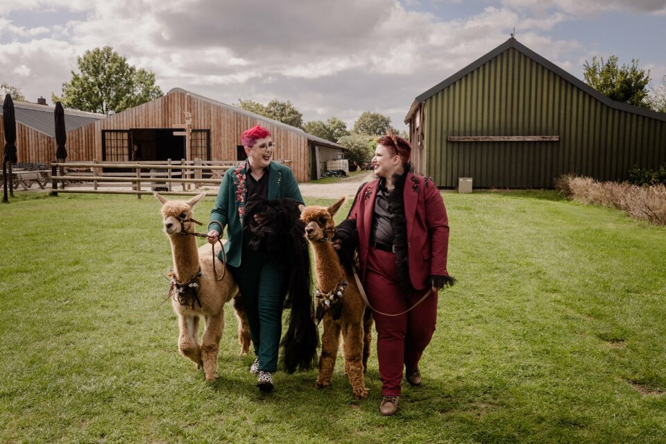 twee vrouwen en twee alpaca's die in een veld staan