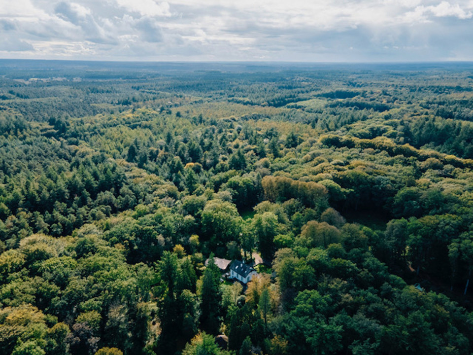 Trouwlocatie Landgoed Welna impressie 